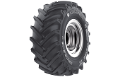 31x15.50 -15 121B 10PR TL IMB 165 Impl. 