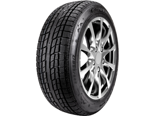 245/55 R19   103T  TL WINTER 626      DEMONTE   E-E-2