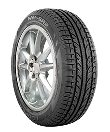 225/45 R18 XL 95V TL WEATHERMASTER SA2 3PMSF E-B-2