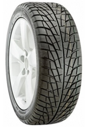 205/60 R16 XL 96H TL DW 9100 