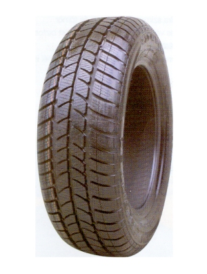 175/80 R14 88Q TL SNOWWOLF 2007 