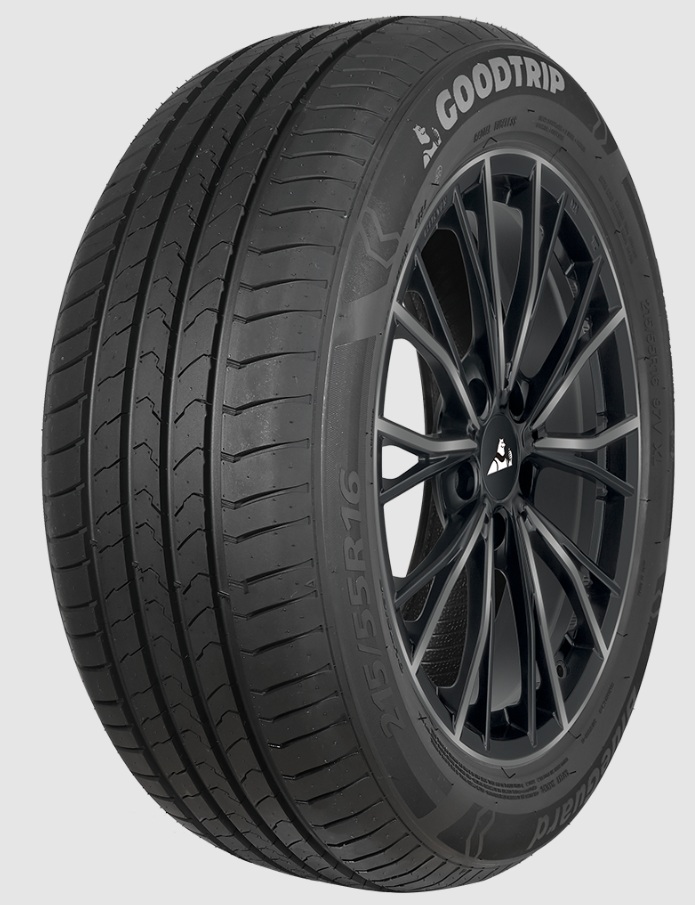 205/60 R15 91V TL BLUEGUARD C-B-2
