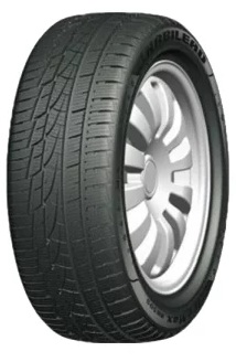 215/45 R17 XL 91V TL ICEMAX RW505 