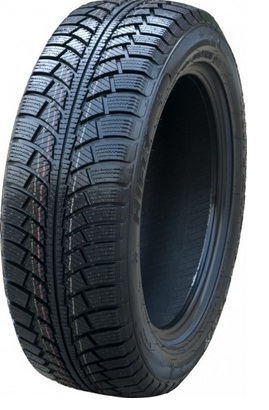 205/55 R16 91H TL WINTERMASTER 