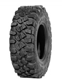 30x10.00 R14 60M 8PR TL P3173 