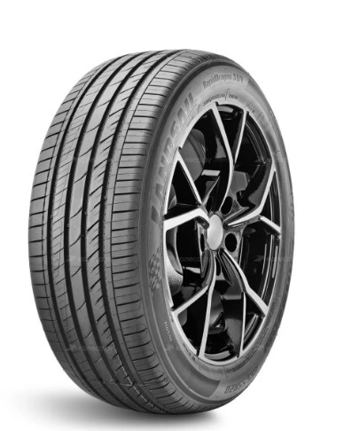 265/50 R20 XL 111W TL RAPID DRAGON SUV B-B-2