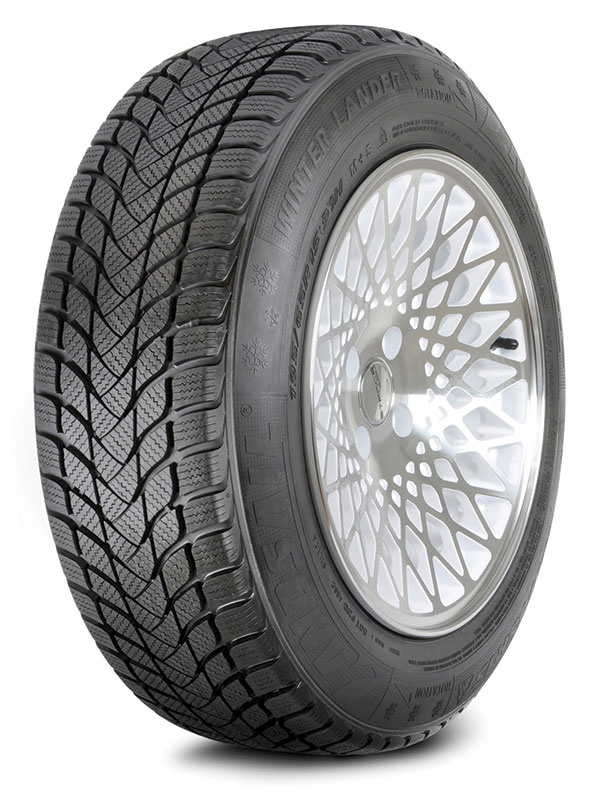 215/65 R16 98T TL WINTER LANDER C-E-2