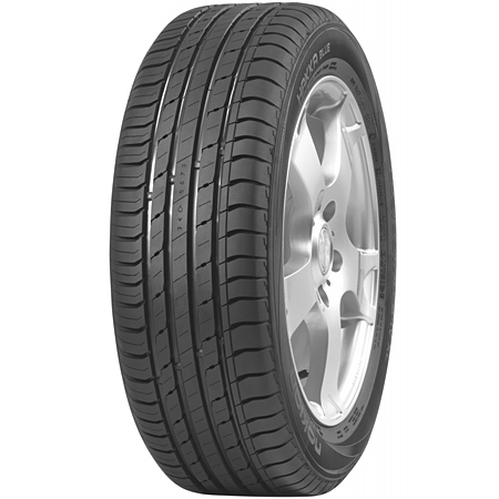 195/65 R15 XL 95V TL HAKKA BLUE DEMONTE 