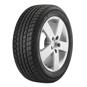 205/60 R15 XL 95H TL SNOWSPEED 