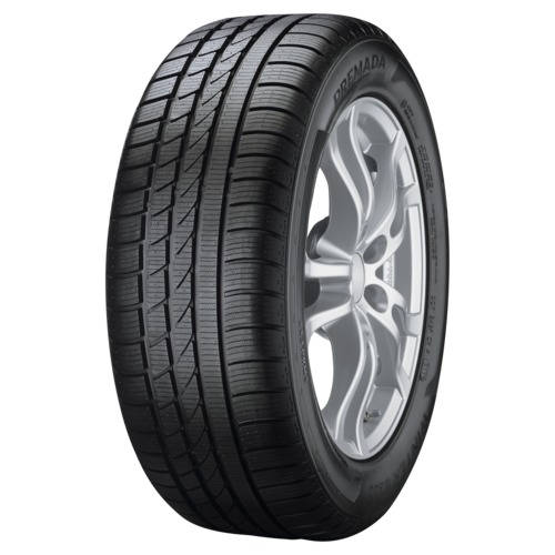 225/40 R18 XL 92V TL W300 F-E-2