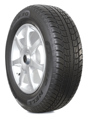 P215/75 R15 100S TL PS 850 2007 