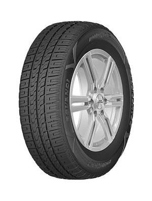 Pneus ROADHOG 215/75 R16 113S TL RGVAN01 E-C-2 215/75 R16 113S TL RGVAN01 E-C-2